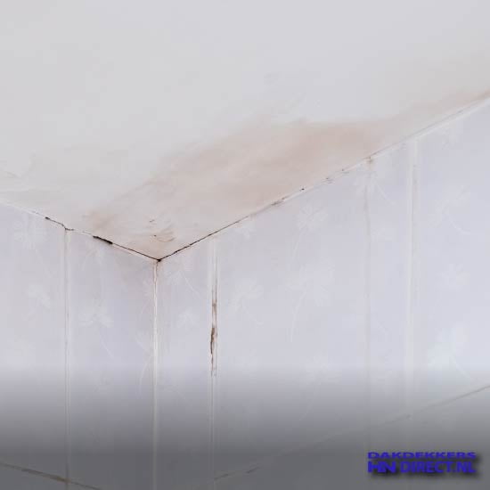 Tarieven daklekkage repareren dakdekkersdirect.nl